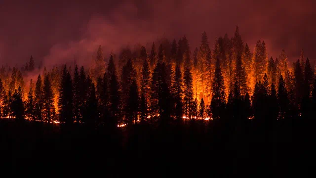 Special Offering for Lutheran Disaster Response