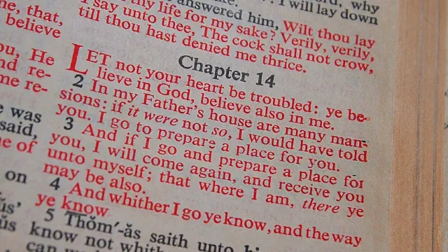 Bible Translation Talk