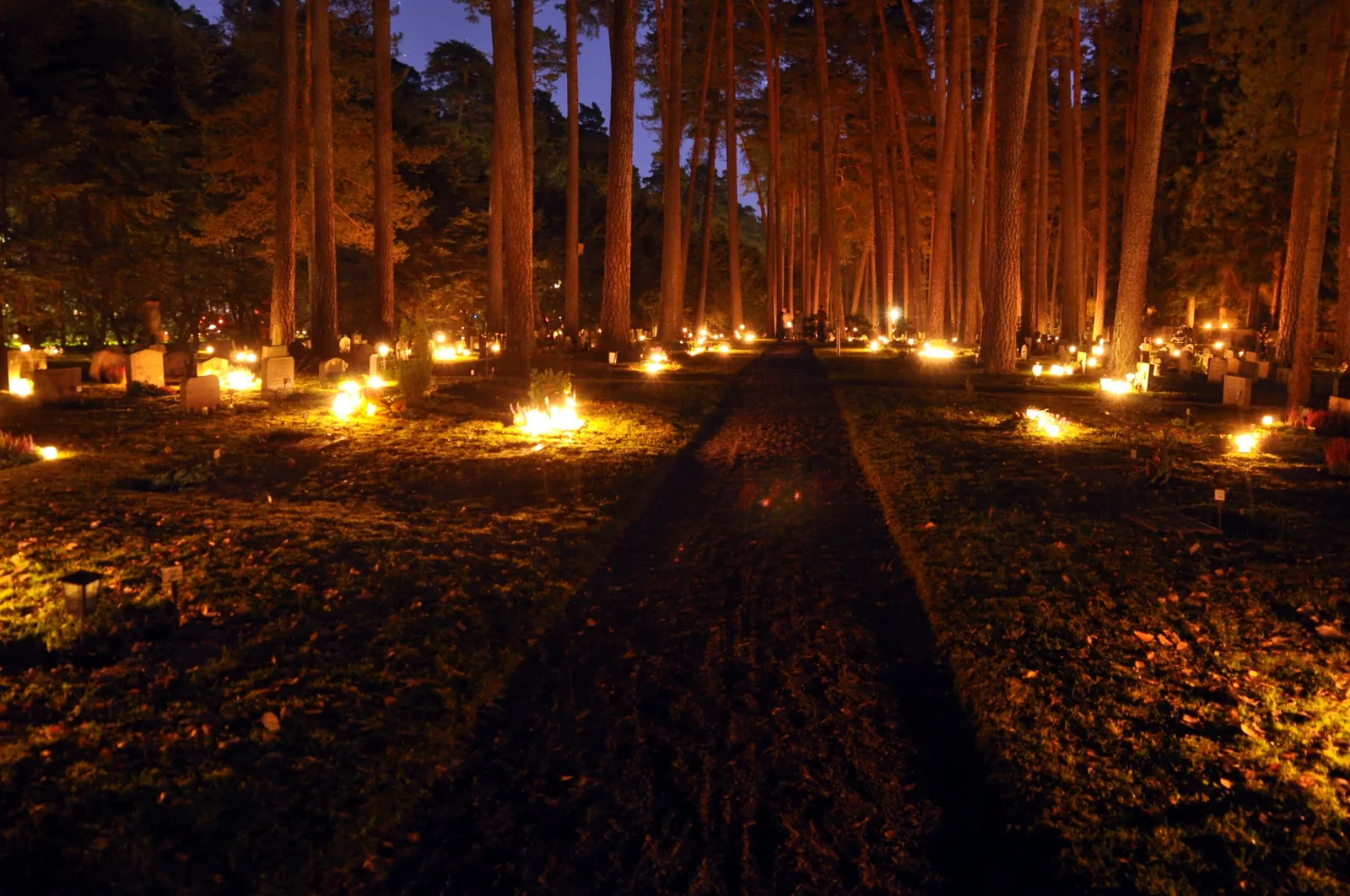 Skogskyrkogården cemetery in Stockholm on All Saints Day