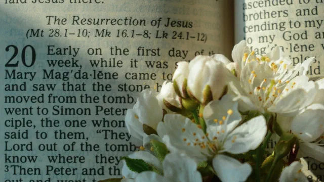 Holy Week 2026 at Our Savior’s